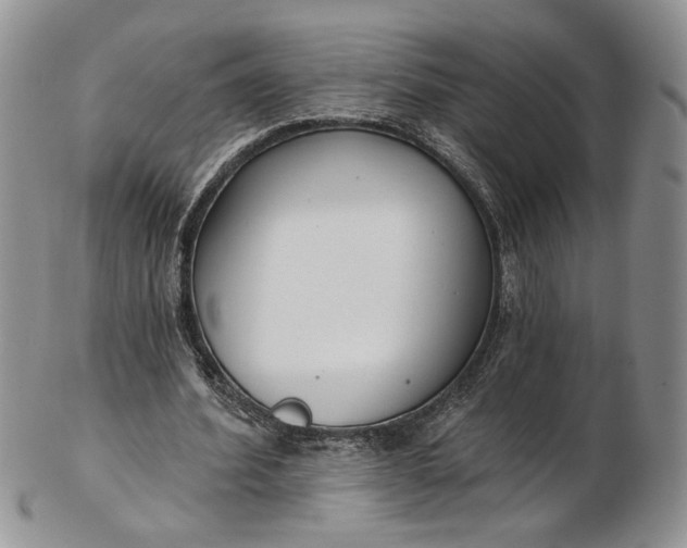 X0000102810580200809021201