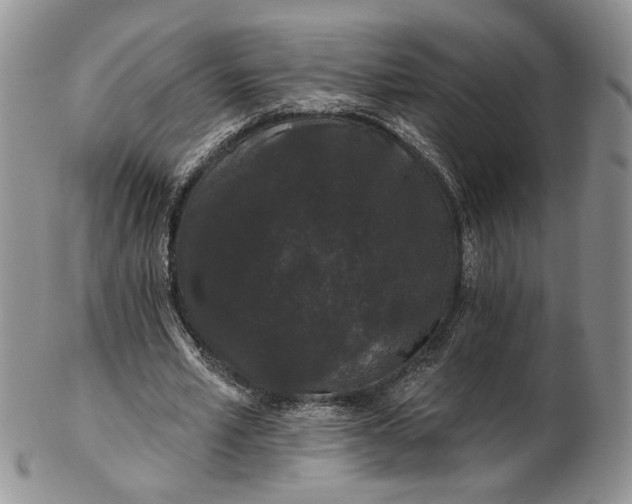 X0000102810581200809021201