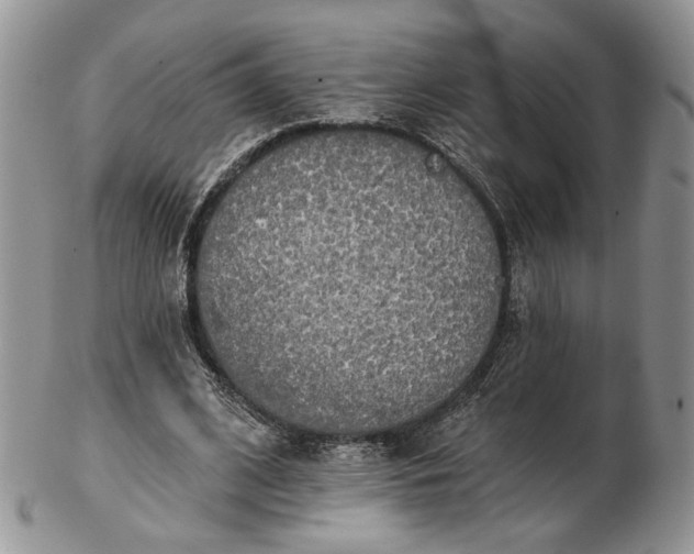 X0000102810584200809021201