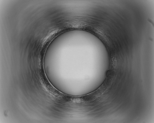 X0000102810587200809021200