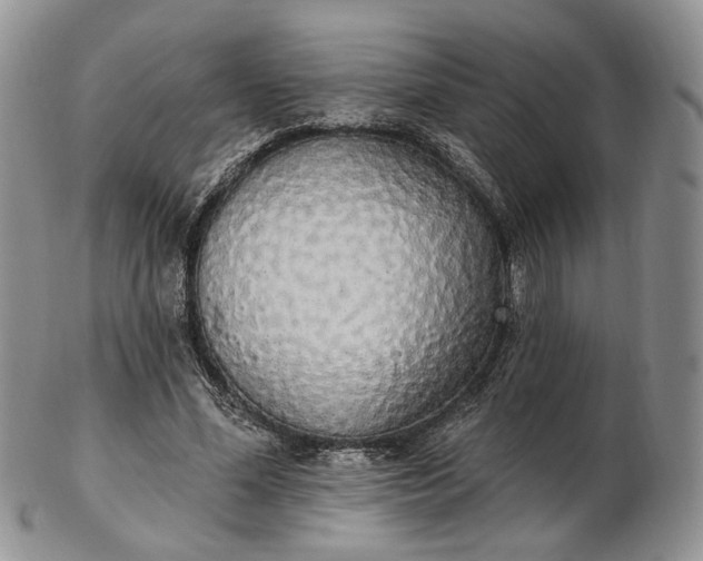 X0000102810588200809021200