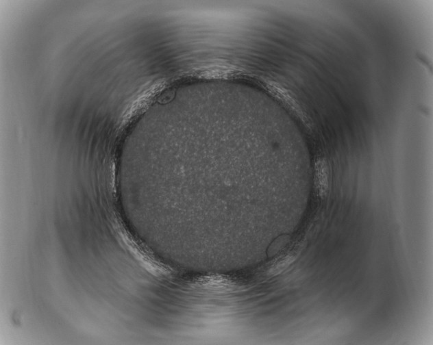 X0000102810589200809021200