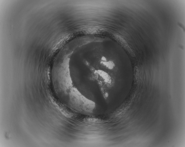 X0000102810590200809021200