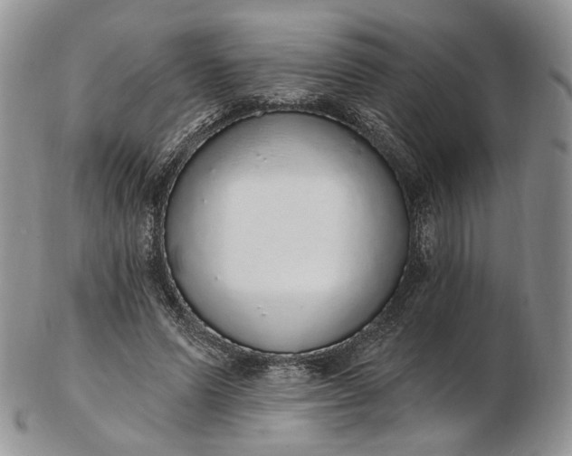 X0000102810591200809021200