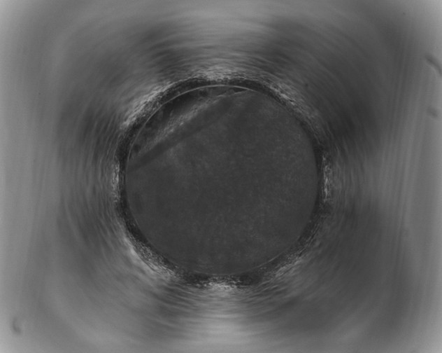 X0000102810592200809021200