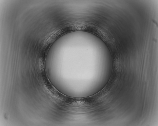 X0000102810594200809021200