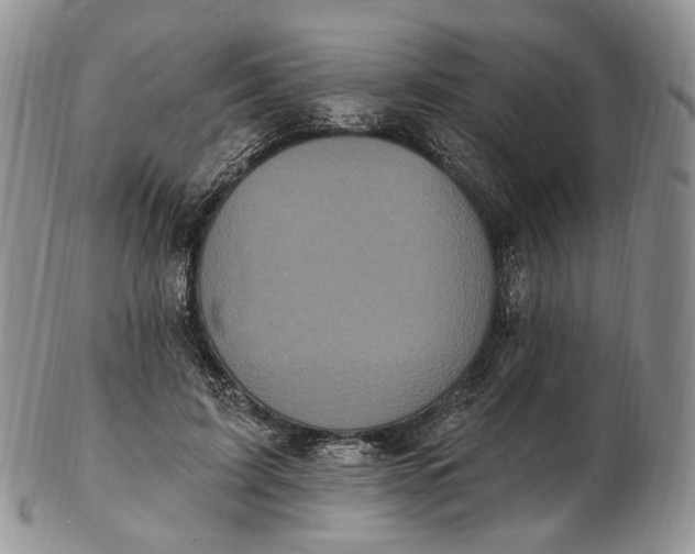 X0000102810595200809021200