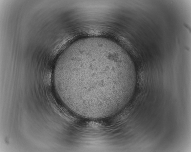 X0000102810596200809021200