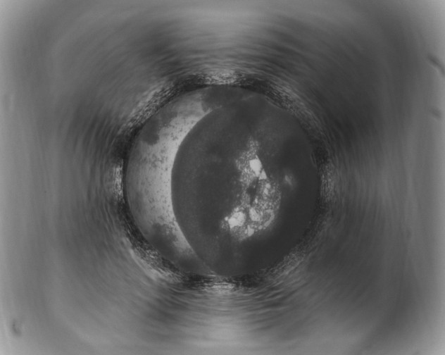 X0000102810598200809021200