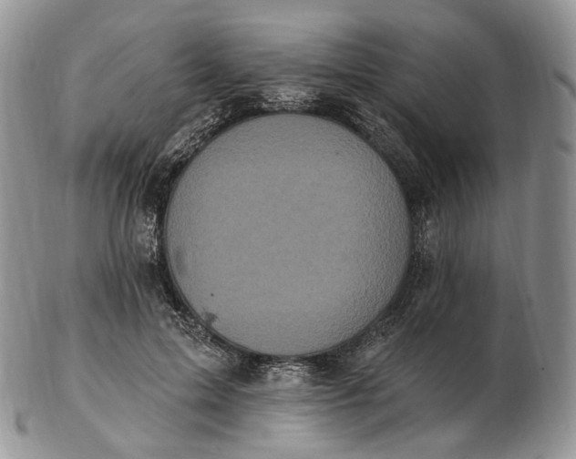 X0000102810599200809021200