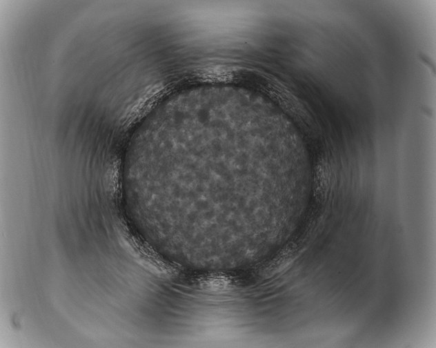 X0000102810600200809021200