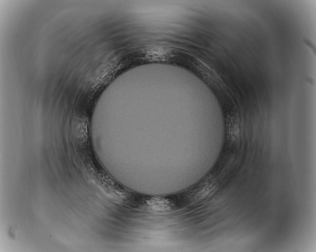 X0000102810603200809021200