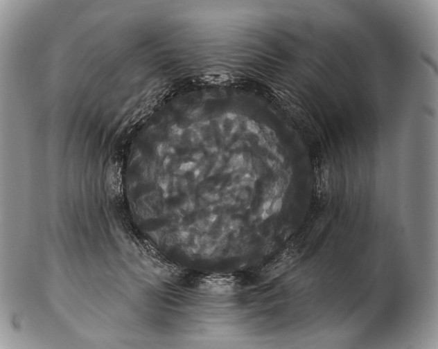 X0000102810606200809021200