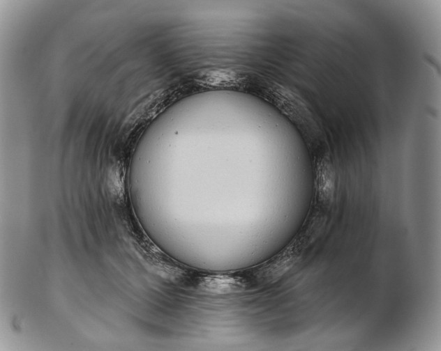 X0000102810607200809021200