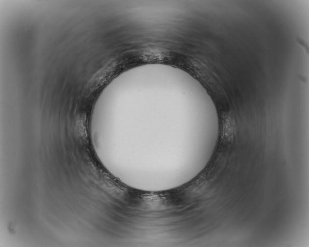 X0000102810616200809021200