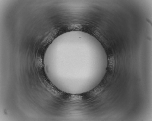 X0000102810617200809021200