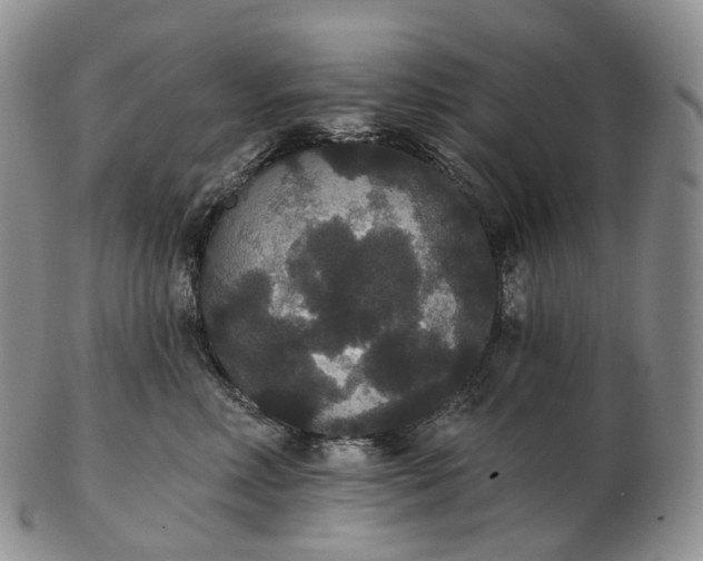 X0000102810618200809021200