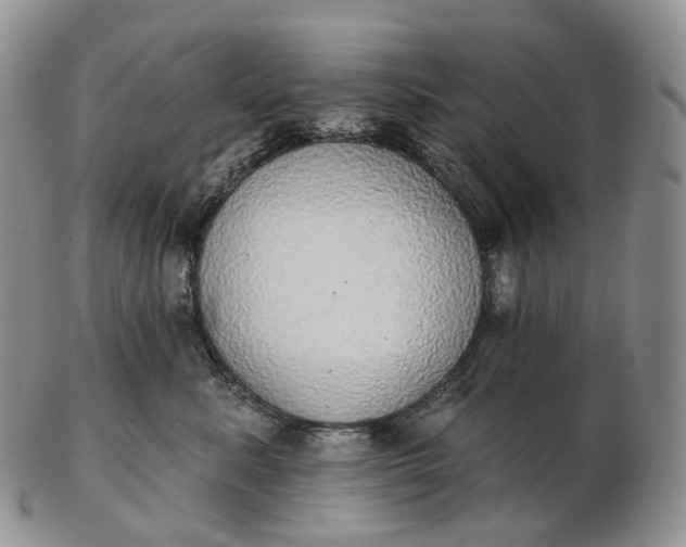 X0000102810619200809021200