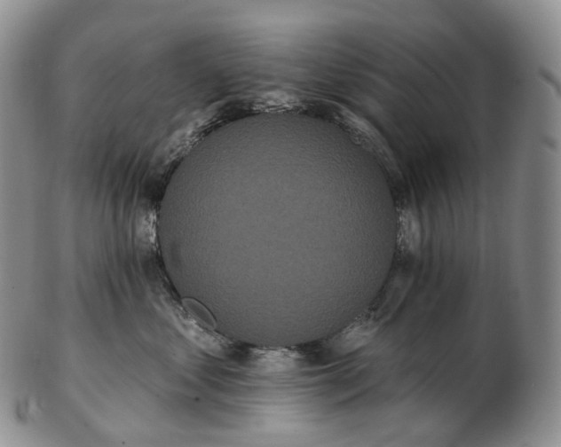 X0000102810621200809021200