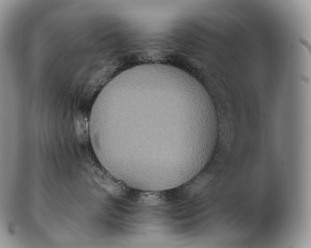 X0000102810624200809021200