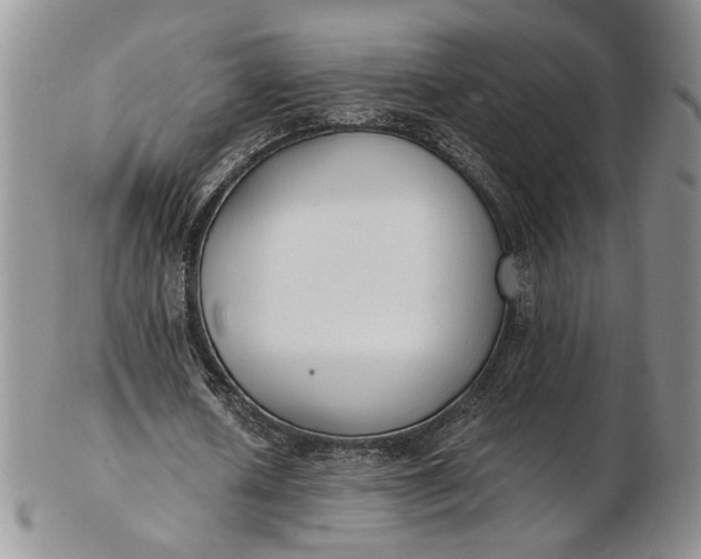 X0000102810626200809021159