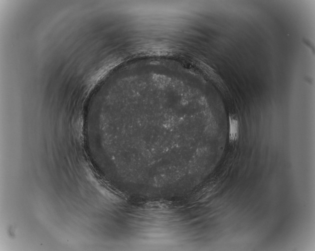 X0000102810627200809021159