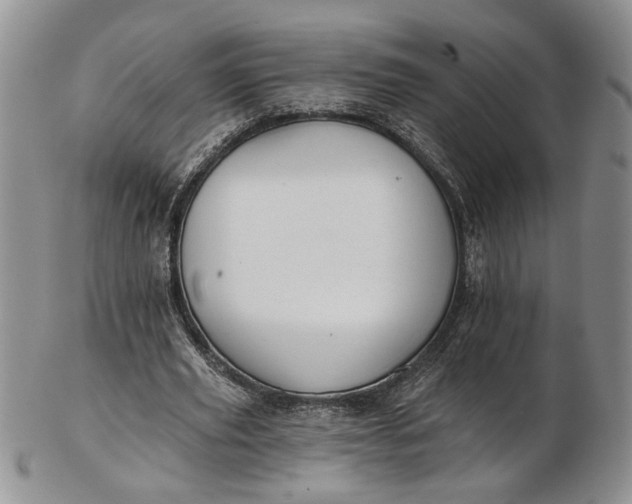 X0000102810629200809021159