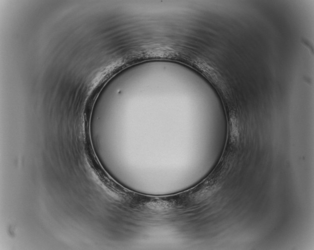 X0000102810630200809021159