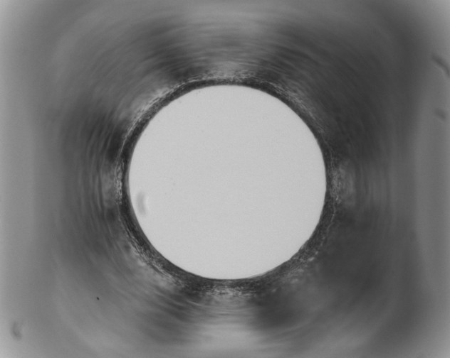 X0000102810632200809021159