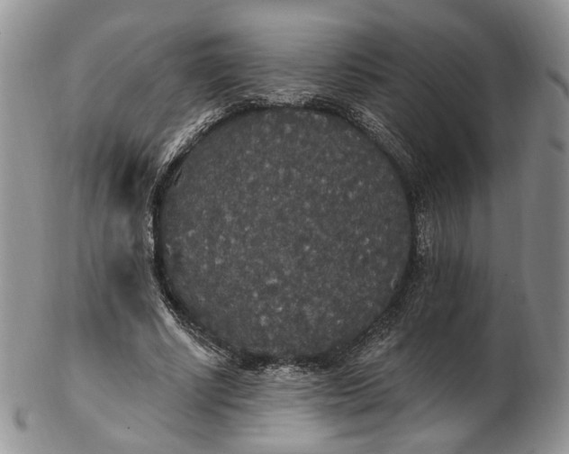 X0000102810634200809021159