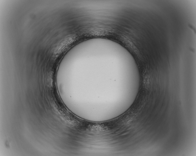 X0000102810635200809021159