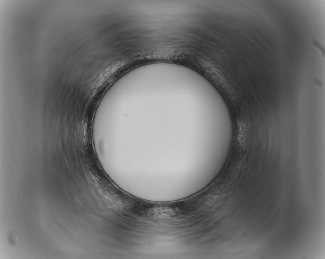 X0000102810636200809021159