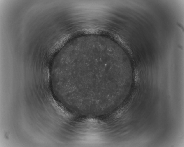 X0000102810637200809021159