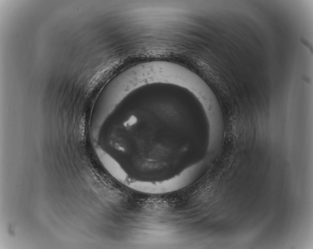 X0000102810640200809021159