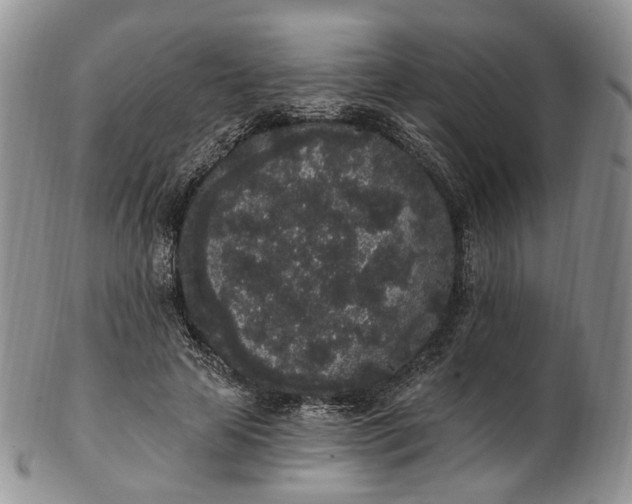 X0000102810641200809021159