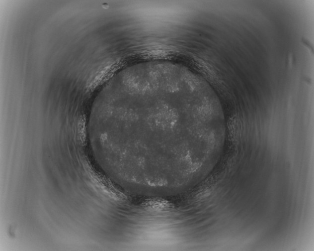 X0000102810642200809021159