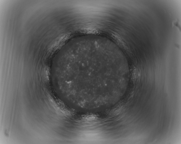 X0000102810643200809021159