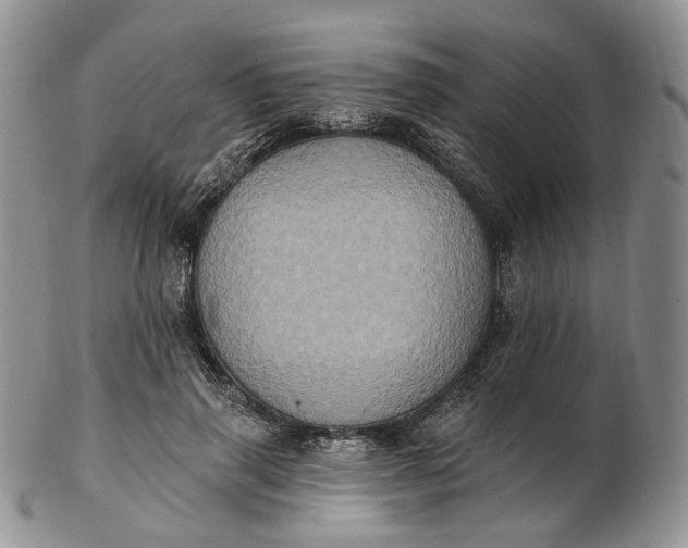 X0000102810645200809021159