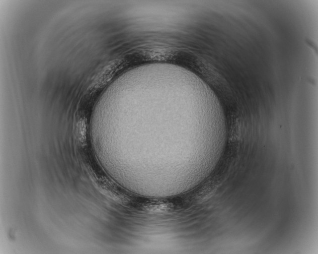 X0000102810646200809021200