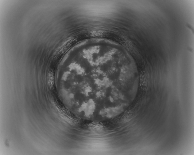 X0000102810648200809021200