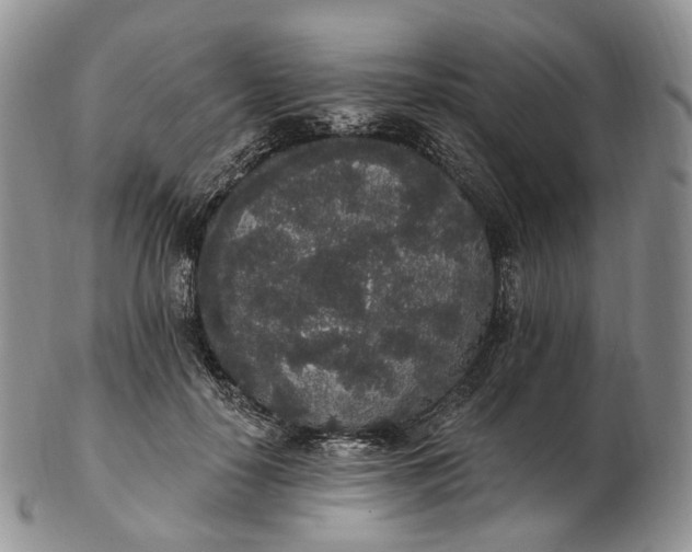 X0000102810650200809021200