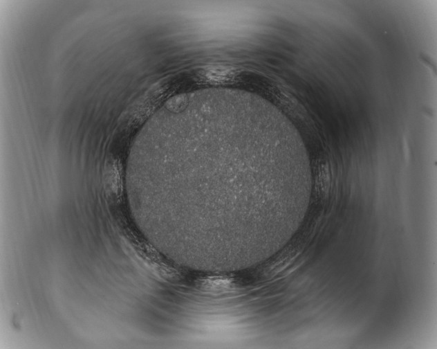 X0000102810651200809021200