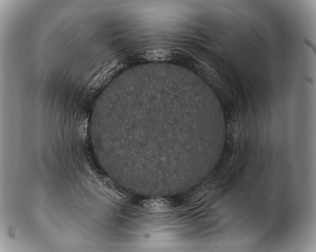 X0000102810652200809021200