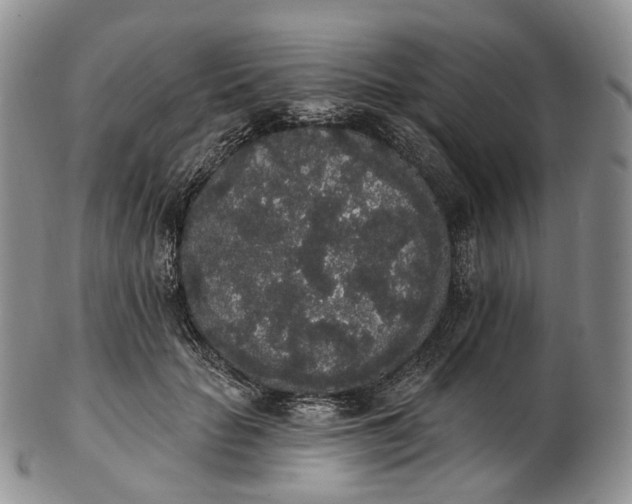 X0000102810653200809021200