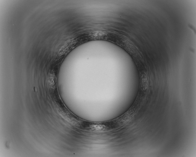 X0000102810654200809021200