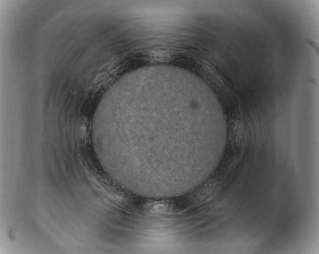 X0000102810655200809021200