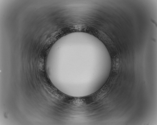 X0000102810656200809021200