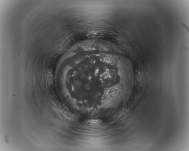 X0000102810659200809021200