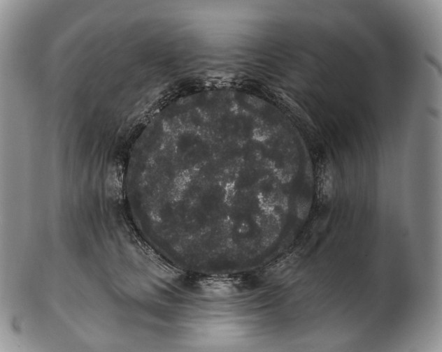 X0000102810661200809021200