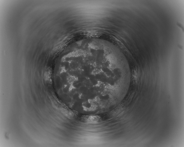 X0000102810663200809021200